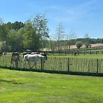 Au Coeur Des Collines, Doucette * Ellezelles
