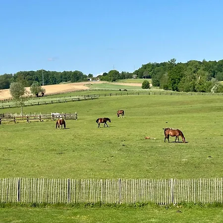 Au Coeur Des Collines, Doucette Ferienhaus Ellezelles