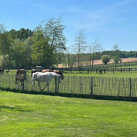 Au Coeur Des Collines, Doucette * Ellezelles