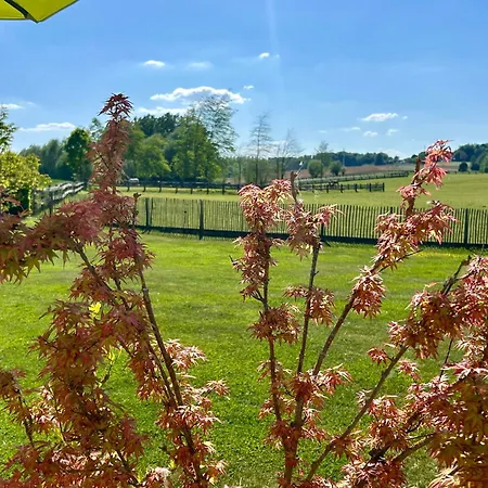 Au Coeur Des Collines, Doucette Hébergement de vacances